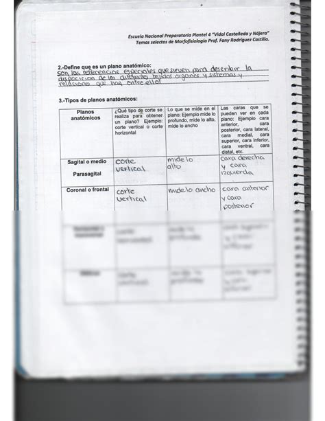 Solution Posici N Anat Mica Planos Anat Micos Y Terminolog A Studypool