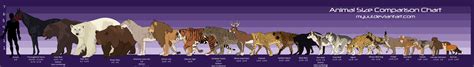 Animal Size Comparison Chart