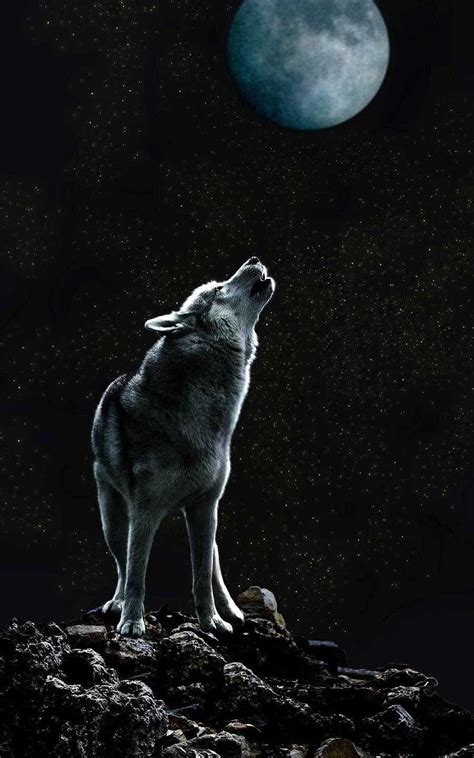 Howl at the Moon, wolf, wolves, HD phone wallpaper | Peakpx