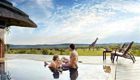 Best Honeymoon Safari In South Africa Africa Safari And Tours