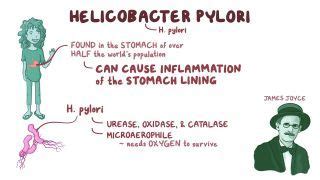 Metaplasia: What Is It, Types, Causes, and More | Osmosis