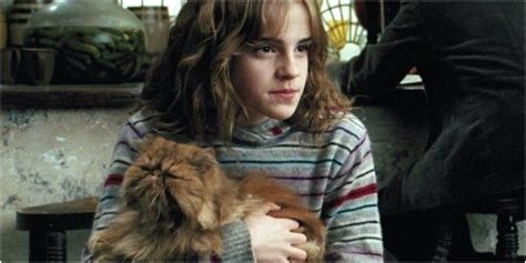 Harry Potter 10 Times Crookshanks Was The Best Pet RELATED 5 Reasons ...