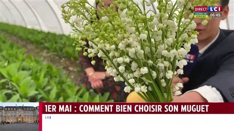 LCI on Twitter Avez vous prévu d acheter un petit brin de muguet