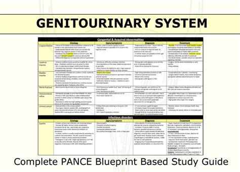 Genitourinary System Complete Study Guide Pance Blueprint Chart