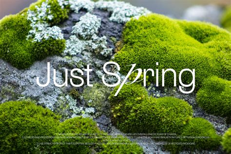 Just Spring Cosmetics Brand Identity Packaging Behance