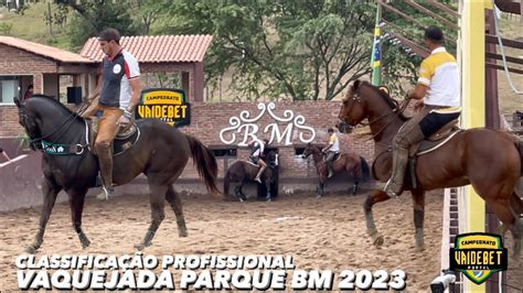 VEJA A CLASSIFICAÇÃO PROFISSIONAL NA VAQUEJADA DO PARQUE BM 2023