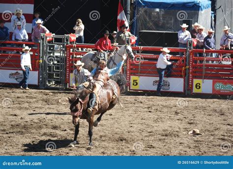 Cowboy Der Das Wilde Pferd Reitet Redaktionelles Stockbild Bild Von