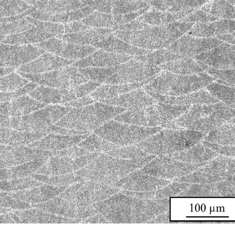 Microstructure Of Cross Section Of As Built Specimen Download