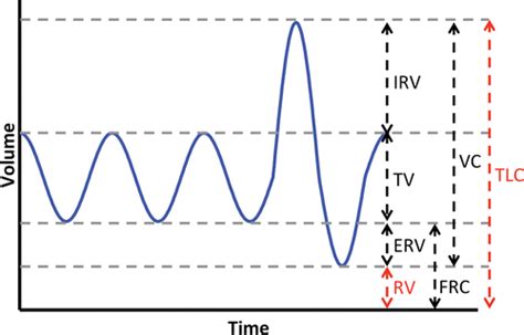 Pulmonary Function Tests Pft Lesson An Introduction 49 Off