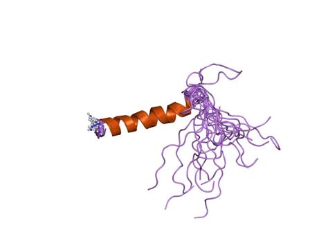 Peptide yy; PYY Peptide