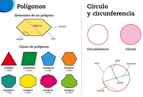 O Gato Dos Castros Pol Gonos C Rculo Y Circunferencia