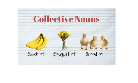 Collective Nouns: Examples, Sentences And Rules - Grammar