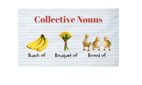 Collective Nouns Examples Sentences And Rules Grammar