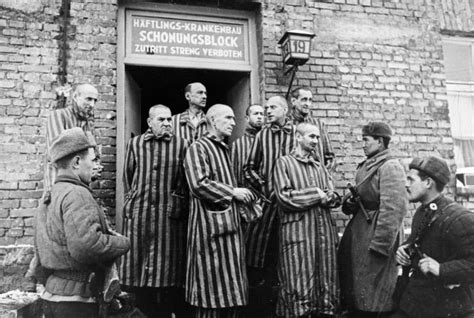 Liberation Of Auschwitz Cnn