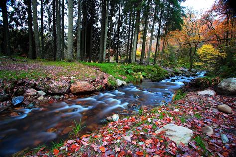 Unique Wallpaper Las Mejores Fotos De Paisajes Naturales I 16 Imágenes