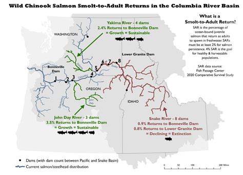 Five Reasons We Should Restore The Lower Snake River And Support The