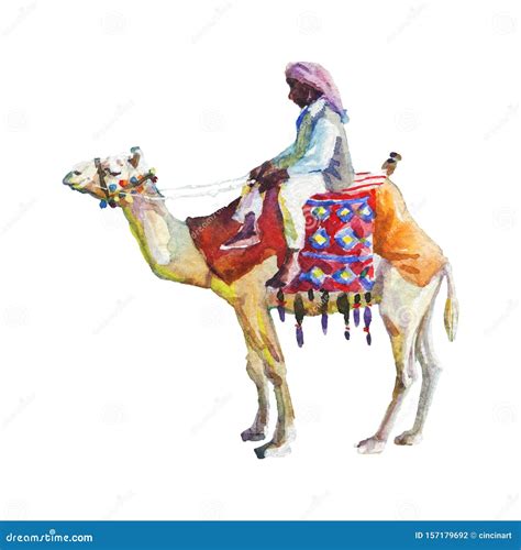 Painting Arabian Man And Camel Stock Illustration Illustration Of