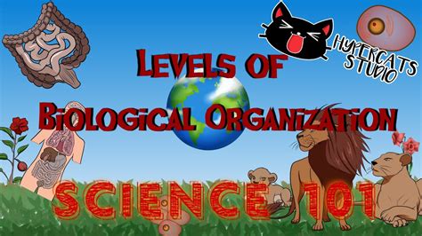 Science Levels Of Biological Organization Youtube