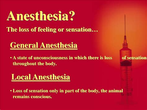 PPT - Anesthesia & Analgesia PowerPoint Presentation, free download - ID:1429499