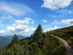 Sued Vogesen Elsass Col De La Schlucht Frankenthal Hohneck