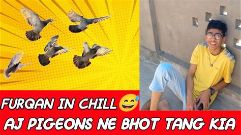 PIGEON NE BHOT TANG KIA AJ YouTube