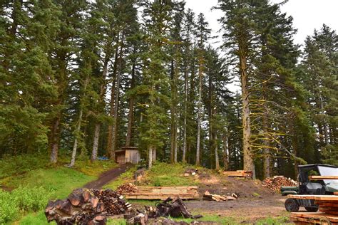 A Monastic Chapel For Spruce Island Alaska Orthodox Arts Journal