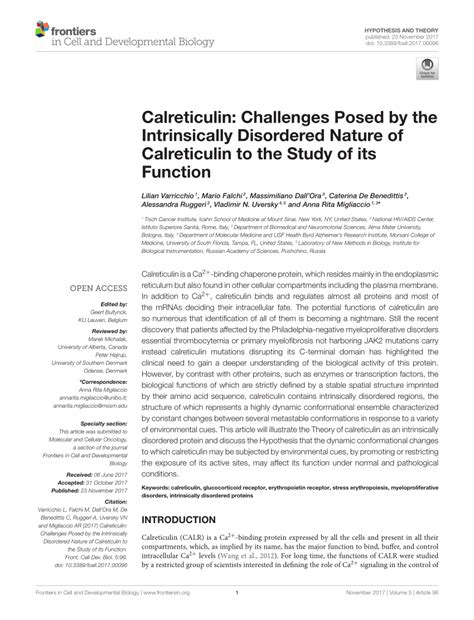 PDF Calreticulin Challenges Posed By The Intrinsically Disordered