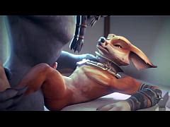 Copilation 2 Furry Yiff Gay Free Mobile Porn Videos IPornTV