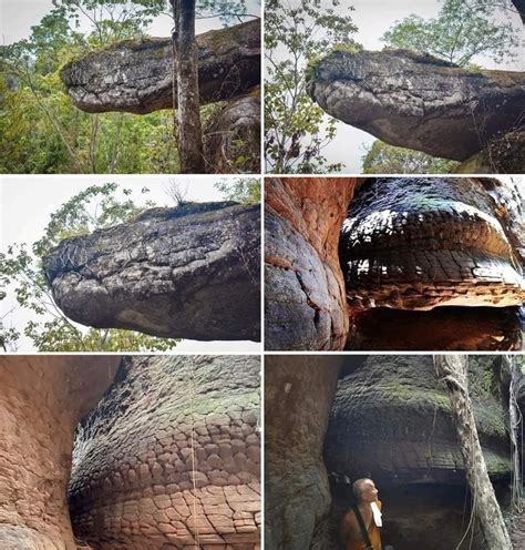 The giant snake stone (Naka cave - Thailand) | Luoghi, Animali, Luoghi ...