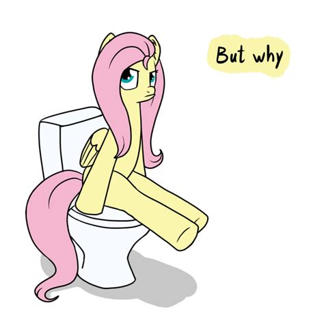 Artist Marindashy But Why Derpibooru Import Fluttershy