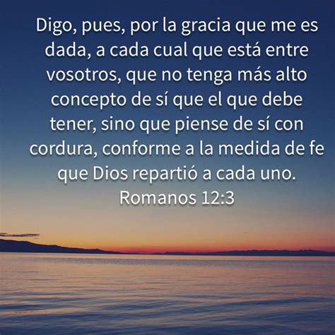 Romanos Biblia Reina Valera Rvr Beach Outdoor Bible