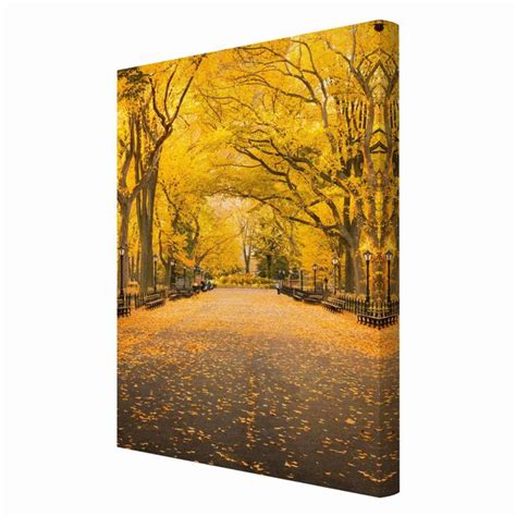 Herbst Im Central Park Leinwandbild Im Hochformat 2 3 Kaufen