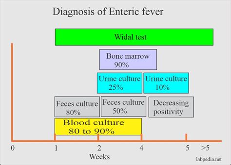 Typhoid Fever Enteric Fever Salmonella Typhi