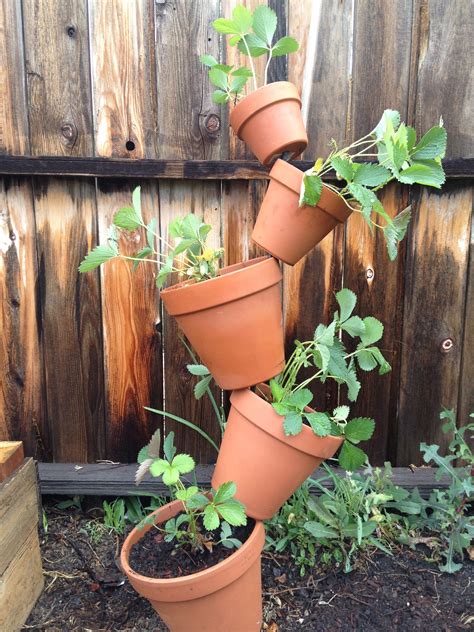 Strawberry Shaped Planter Pot The Perfect Addition To Your Garden