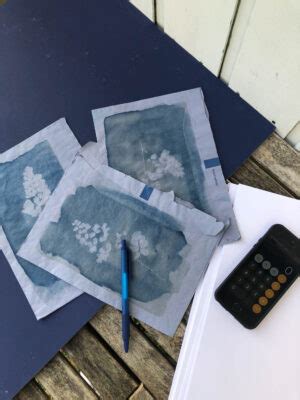 La Technique Du Cyanotype Tout Savoir Avec Botanopia