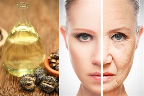 How To Use Castor Oil To Remove Wrinkles 2knowandvote Wrinkle