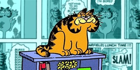 10 Funniest Garfield Comics Featuring His Original Design Its Prime Media