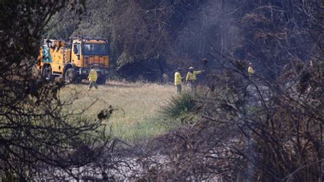 Extinguido el incendio de vegetación de ribera en la zona de La