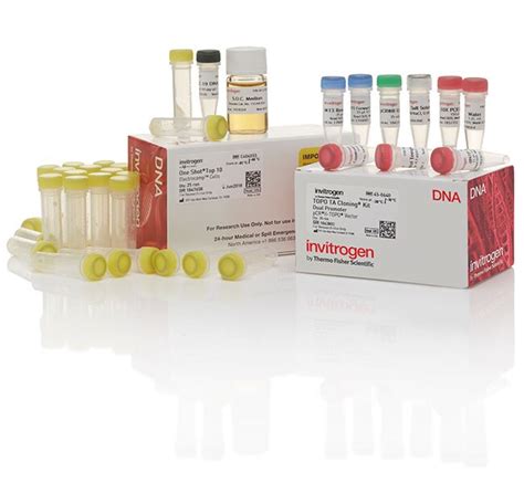 Topo™ Ta Cloning™ Kit Dual Promoter With Pcr™ii Topo™ Vector And One