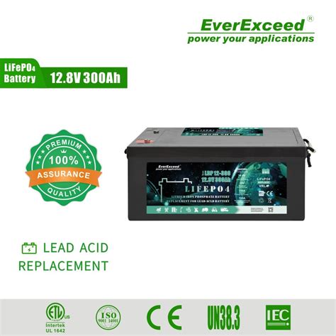 Everexceed Ldp 12V 300ah Rechargeable Deep Cycle LiFePO4 Lithium Iron