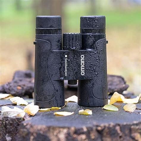 Best Binoculars For Birding Under 100 Birds Advice