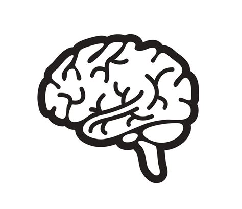 Black And White Brain Clipart ClipartLib