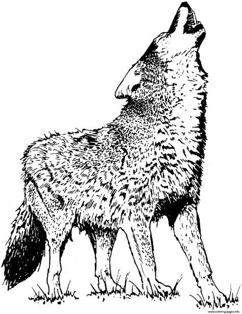 Realistic Wolf Coloring Page Printable