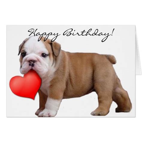 Happy Birthday Bulldog Puppy Greeting Card