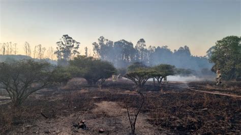 Alerta Amarilla Para Quintero Por Incendio Forestal Que Dejó 194