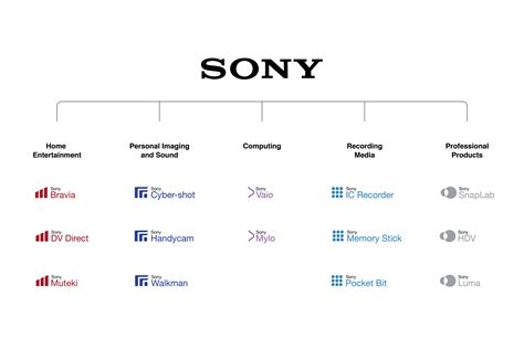 Sony Brand Architecture Ryan Paul