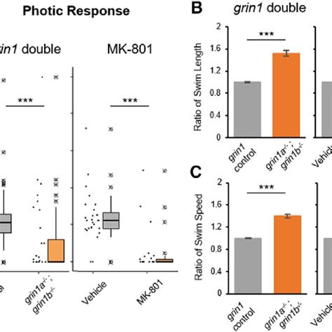 Grin1 Double Mutants Display Comparable Behaviors To MK 801 Treated