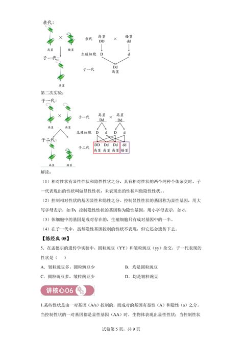 第七单元第二章生物的遗传与变异——讲核心 （含解析）生物人教版八下 21世纪教育网