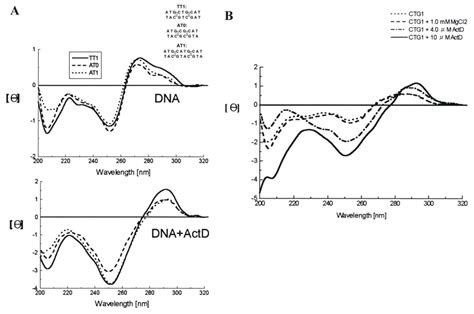 Ijms Free Full Text Conformational Changes In Dna Upon Ligand