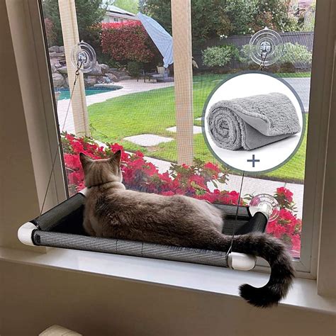 Mejores Hamacas De Ventana Para Gatos Cu L Elegir Smylepets